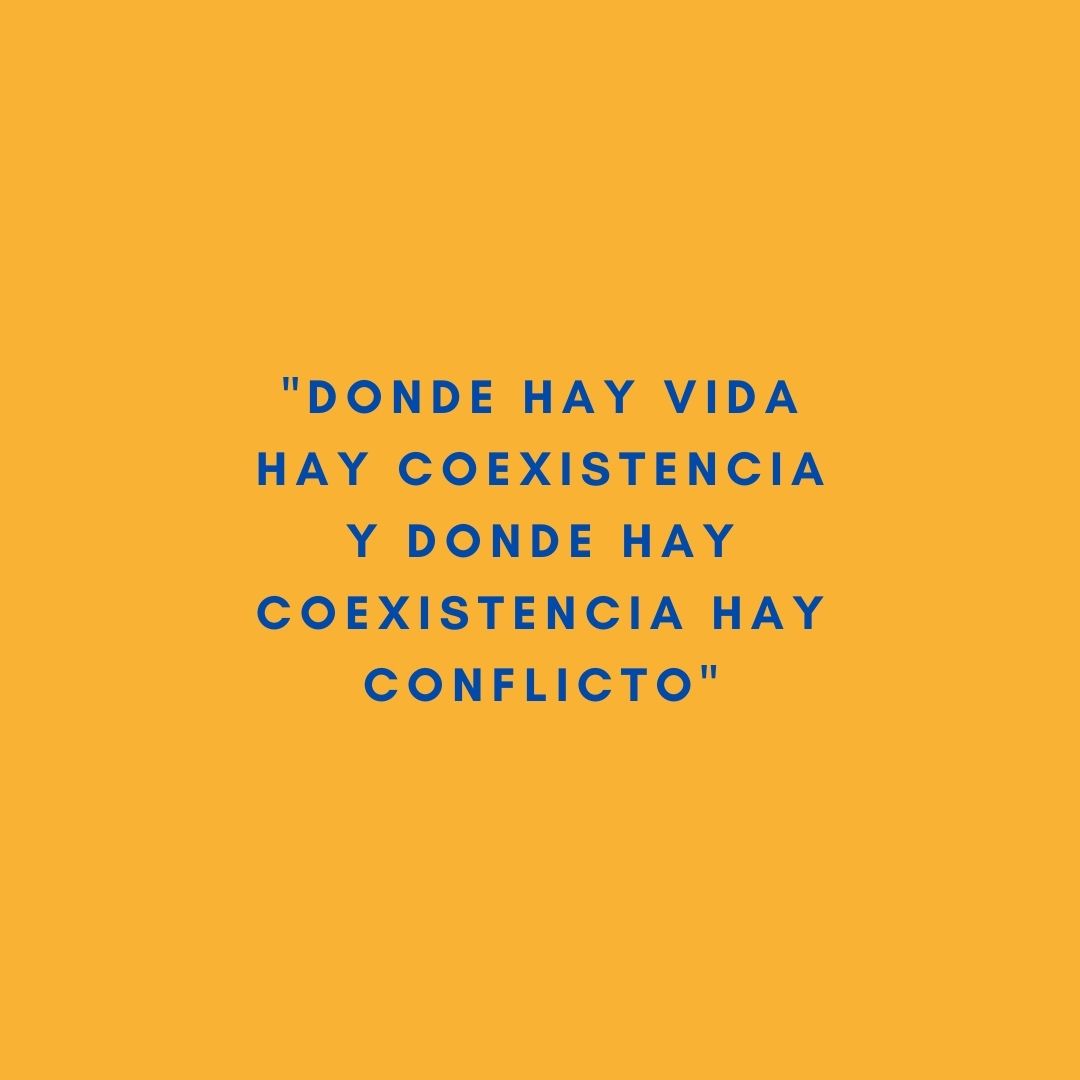 iustizCS's tweet photo. Nuevo artículo sobre la gestión del conflicto en equipos de trabajo.
https://t.co/SDyEKJIPg9

https://t.co/B8gokeOKnn
#mediación #negociacion #arbitraje #iustiz #conflictos #españa #subastaciega #casos #legal #bienestaremocional #nosotrosmediamos #online #abogados #tualiado https://t.co/YQV3aL0K7U