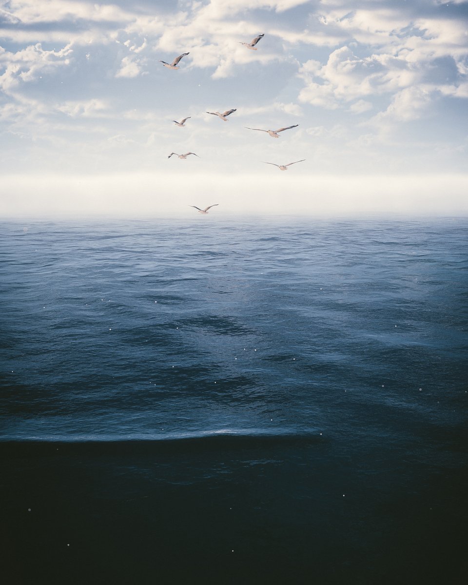 wistfulembrace's tweet image. Horizon Forbidden West

#VPBeach