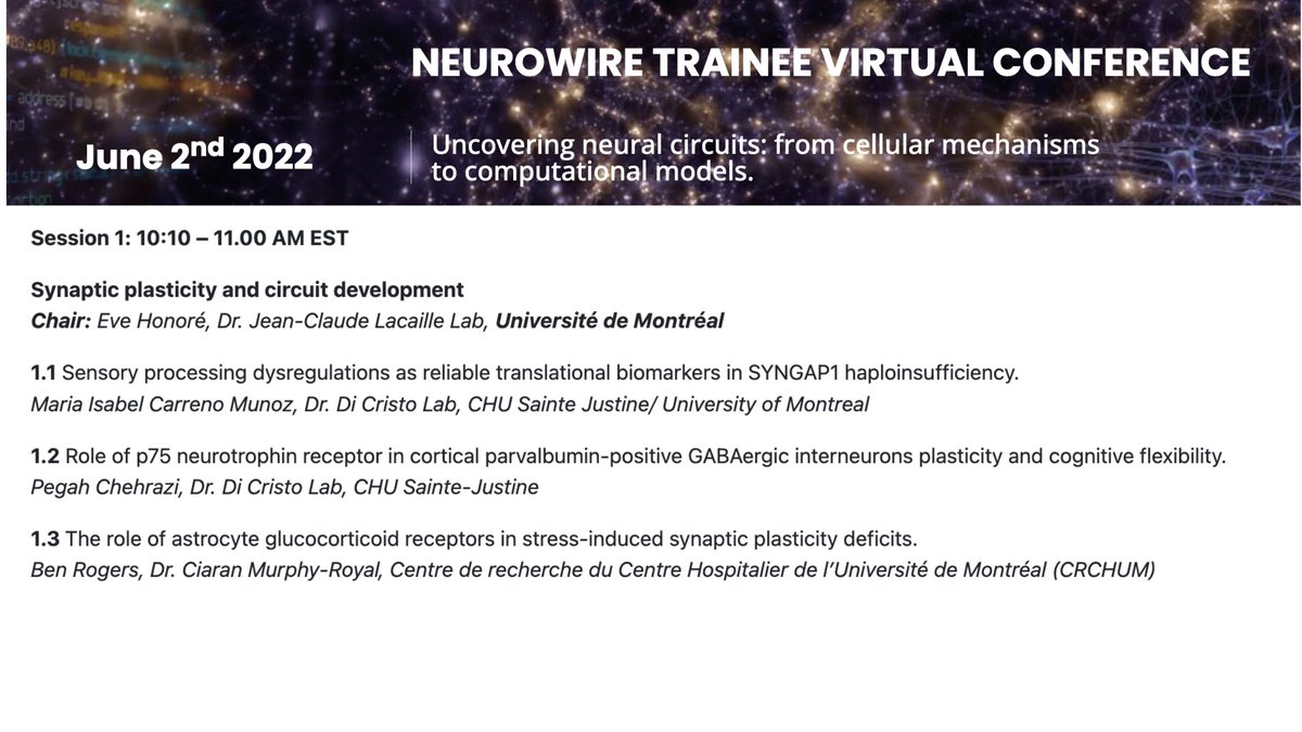 NeuroWire Virtual Club tweet media