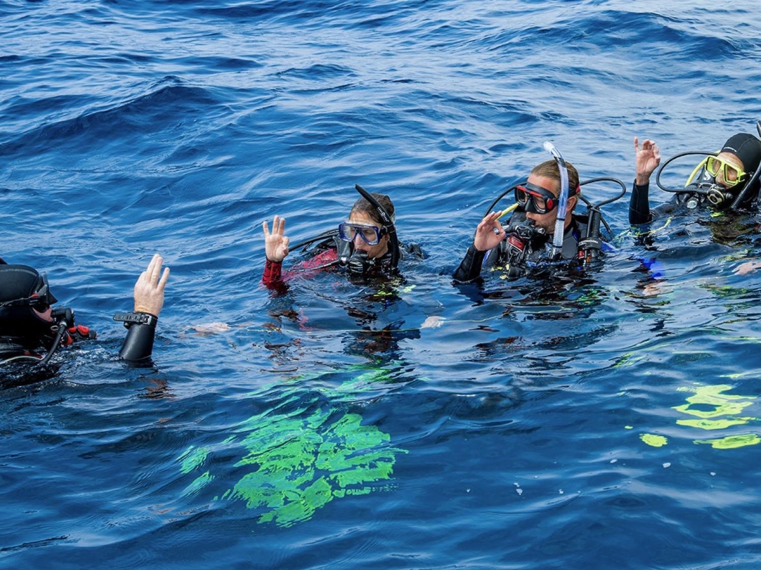 padi-on-twitter-is-becoming-a-padi-divemaster-on-your-bucket-list
