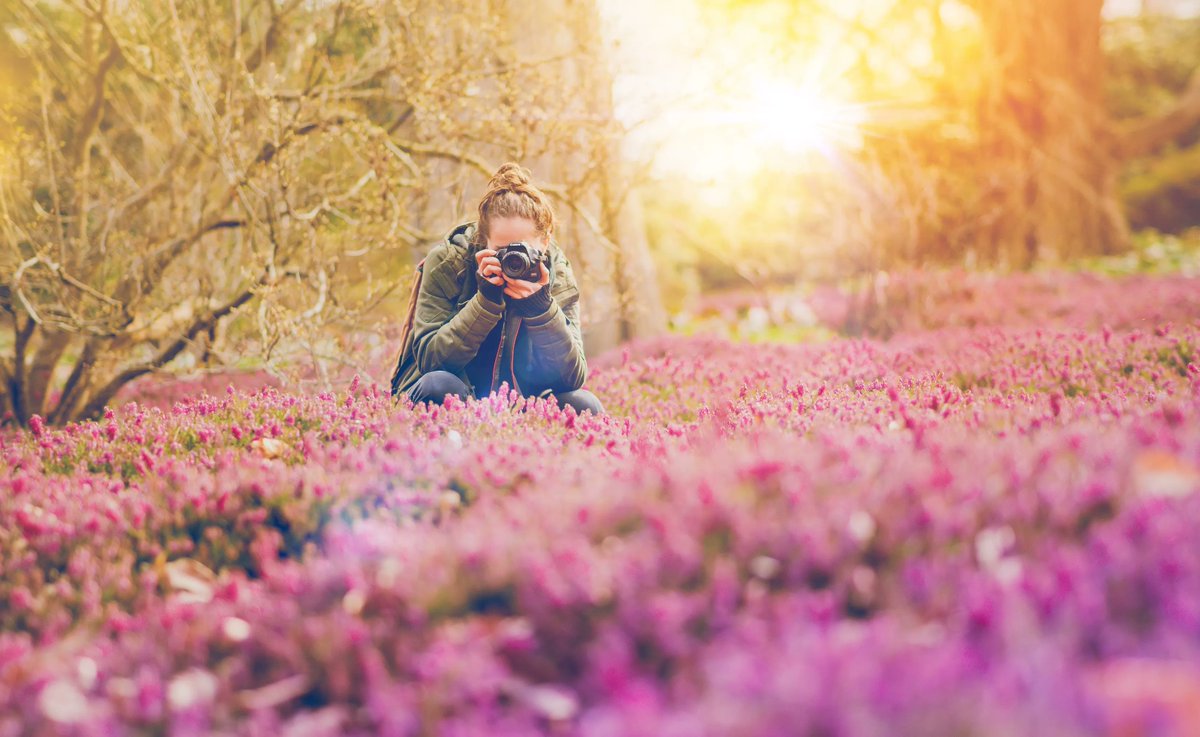 SHOUT OUT TO SPRING! 
Although by no means a comprehensive list, here are some #Spring stressors one might experience in the Bio Domain. What others can you think of? #SelfReg [ 🔗 bit.ly/34OFQjY ]
🌼 Allergies
🌼 Being too cold or too hot
🌼 Marathon training
🌼 Dry air