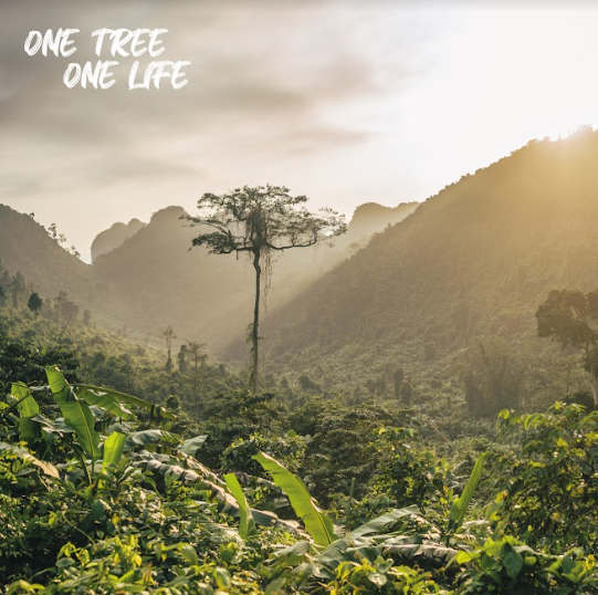 OneTree_OneLife's tweet photo. Our goal is not only to plant fruit trees, we also seek to contribute with the afforestation of affected areas in the peruvian forests.

#NFTs #nftart #nftproyect #SolanaNFTs #Tree #onetreeonelife #TreePlantation https://t.co/ARn5tZQJDK