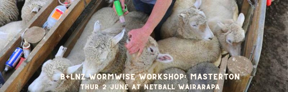 B+LNZ Wormwise Workshop – Masterton 
Thur 2 June 1 pm 

Presenting the latest information and research on internal parasite control. It is divided into multiple sections dealing with worm biology, drenches &amp; drench resistance.

Register now: beeflambnz.com/events/blnz-wo…

#Wormwise