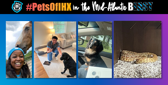 IHXBEAST's tweet photo. The #PetsOfIHX come in all shapes and sizes and are one of our favorite parts of the job. But we feel like something is missing! We need one of our bEAST Experts to send us a picture of a cat on your next dispatch (remember with permission only and no pictures of customers.) https://t.co/CFXJn91tQY