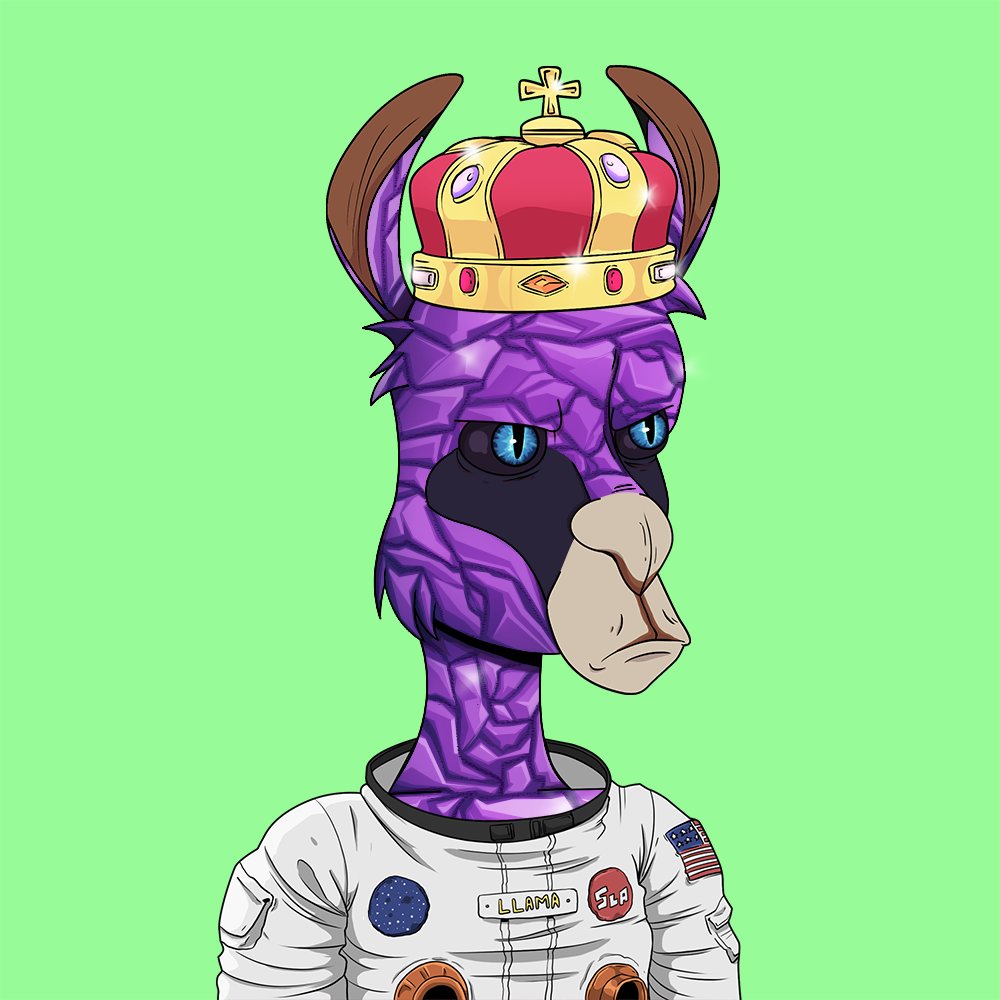 Agent BigSp◎◎N (10-8) tweet media