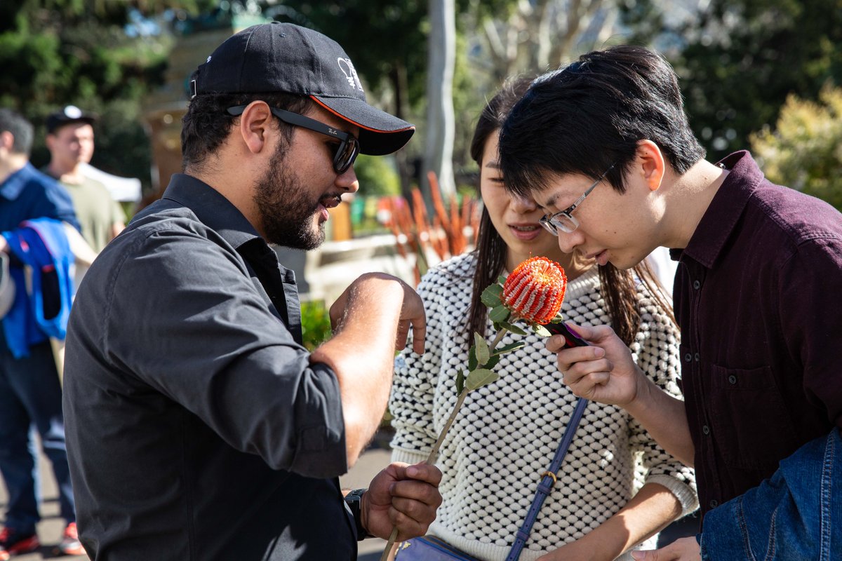 AustralianBG's tweet photo. Celebrate plants, science and horticulture at our FREE #BotanicGardensDay event tomorrow! 🌻🎉 From 10am-3pm there will be interactive stalls, hands-on activities for the whole family, food trucks, tours, science presentations and more: https://t.co/6ePWnpTE52 https://t.co/AM7rAOKUaH