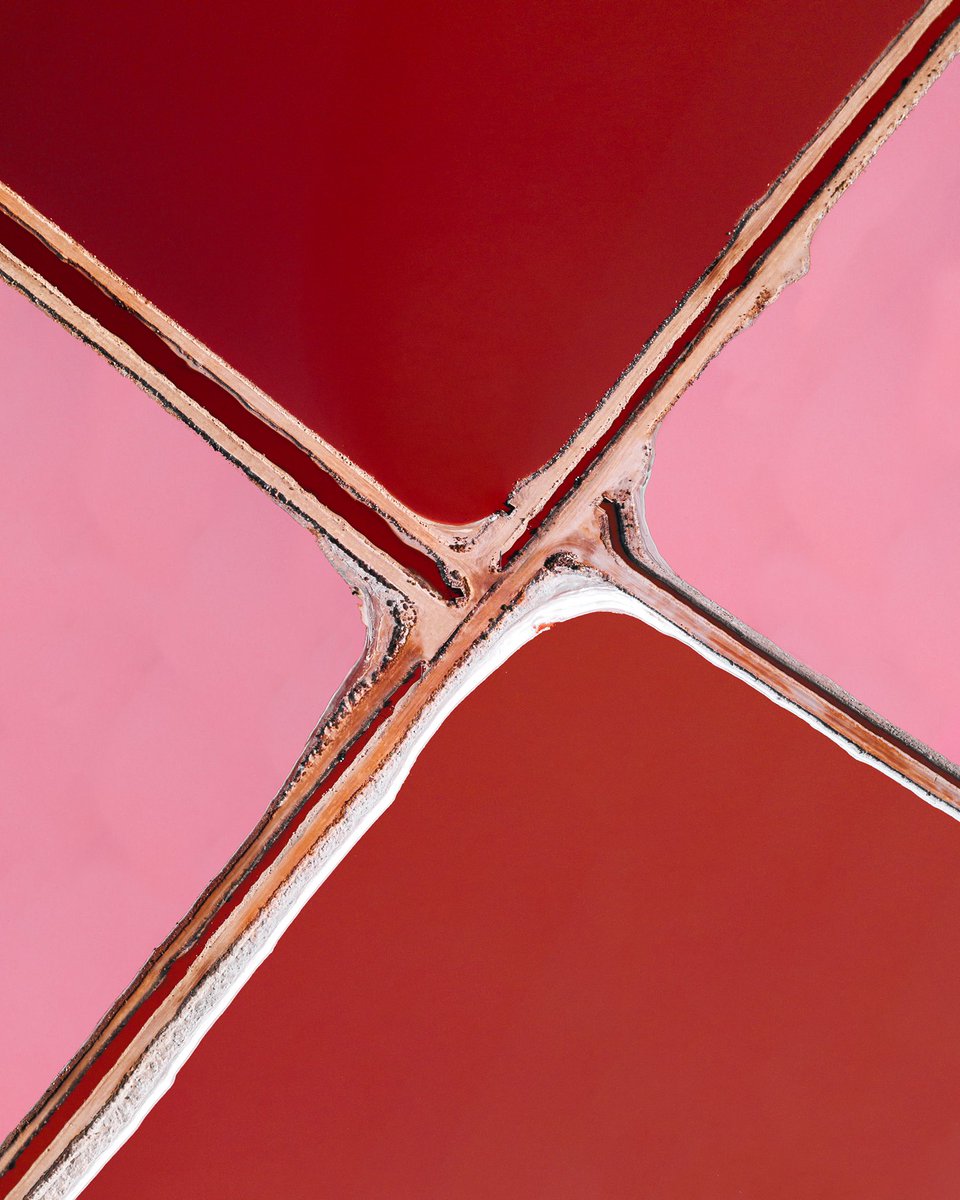 Paintings made by nature ❤️ Gm!