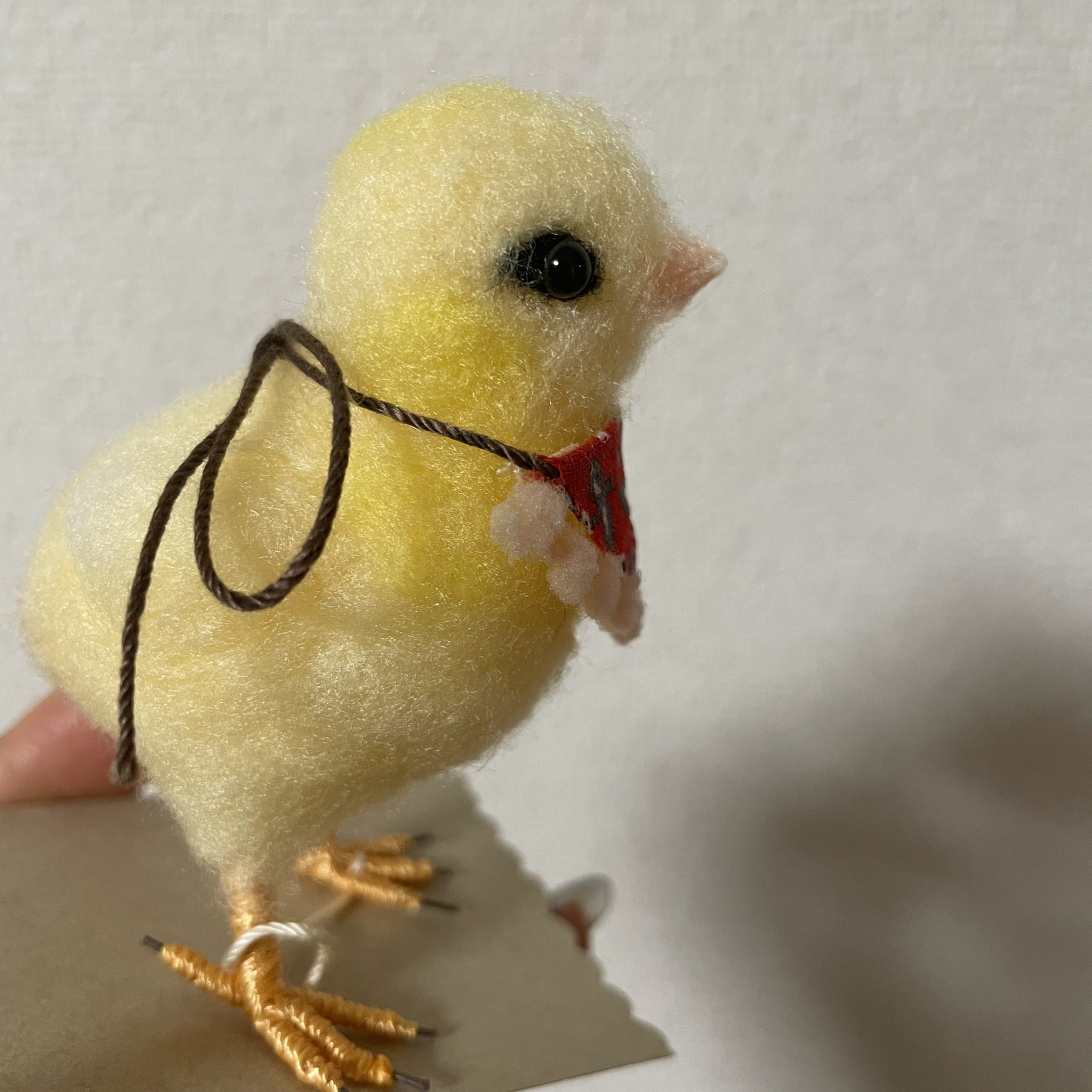 たぬきさん♡ヒヨコ浮き輪 たぬきさん♡ヒヨコ浮き輪