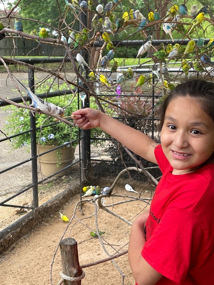 ClarkstonTISD's tweet photo. 3rd grade enjoyed their field trip to the Caldwell Zoo! #CougarStrong https://t.co/YUnGSIHaZ5