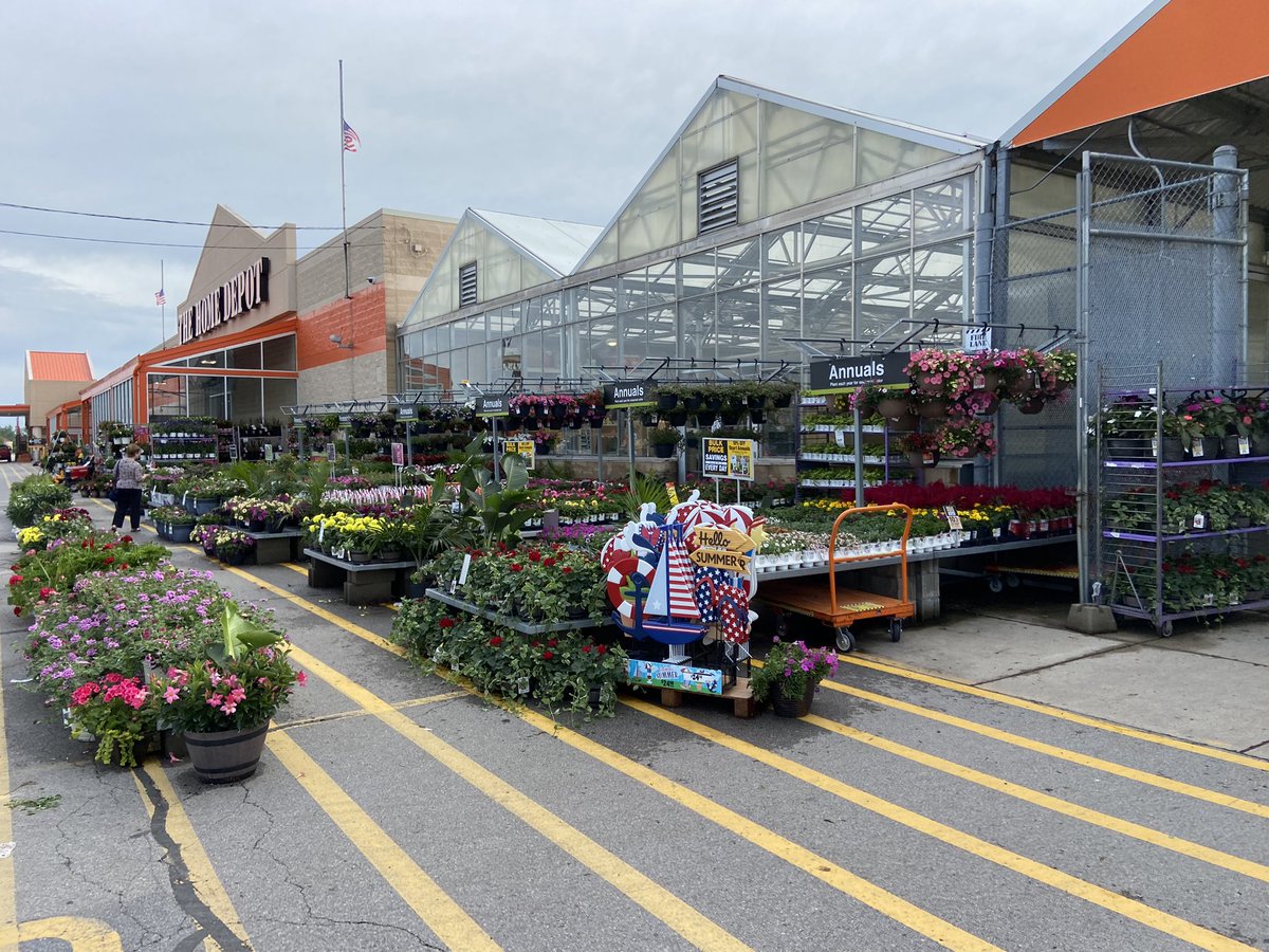 Amanda Fore tweet media