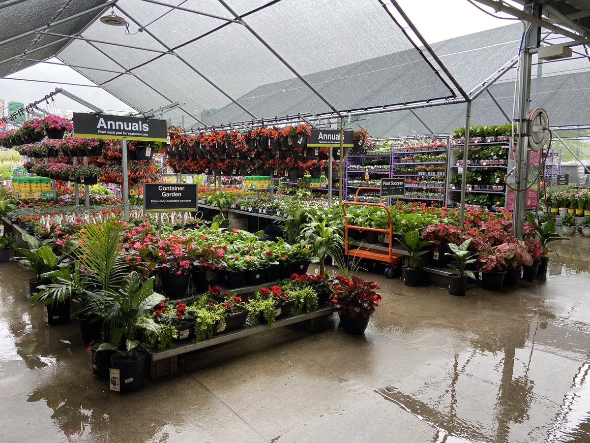 Amanda Fore tweet media