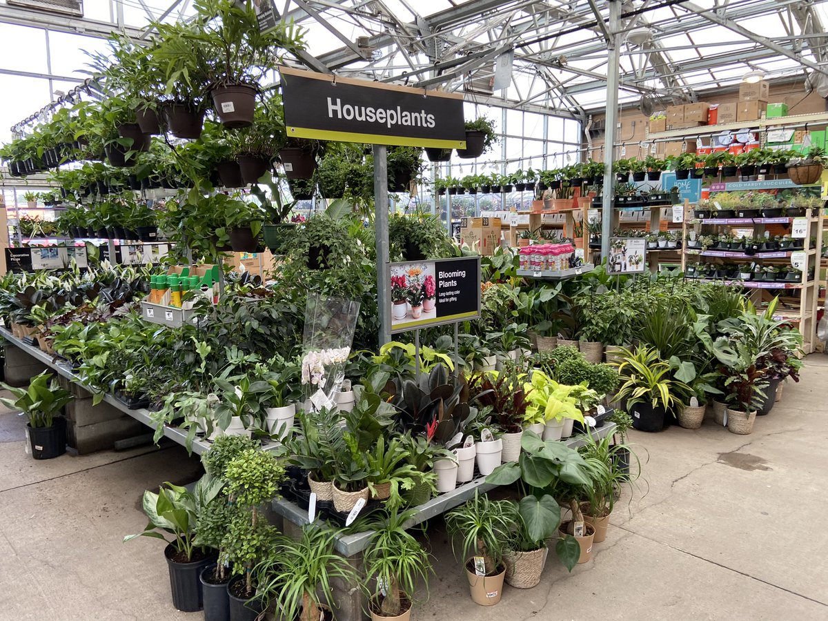 Amanda Fore tweet media