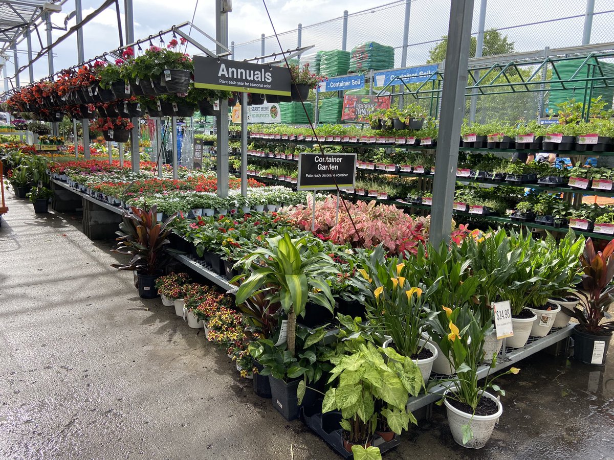Amanda Fore (@fore_amanda) on Twitter photo HD 2009 and 2024 looking fresh and full in Northern Indiana! Greta job Bell Teams! <a href="/BellNursery/">Bell Nursery</a> <a href="/brianfrombell/">Brian Harrison</a> @joshlibby1 <a href="/BPlantenberg/">Brody Plantenberg</a> <a href="/rmathis333_rick/">Rick Mathis</a> <a href="/KOKOLGM/">Mark Kociubinski</a> HD 2009 and 2024 looking fresh and full in Northern Indiana! Greta job Bell Teams! <a href="/BellNursery/">Bell Nursery</a> <a href="/brianfrombell/">Brian Harrison</a> @joshlibby1 <a href="/BPlantenberg/">Brody Plantenberg</a> <a href="/rmathis333_rick/">Rick Mathis</a> <a href="/KOKOLGM/">Mark Kociubinski</a>