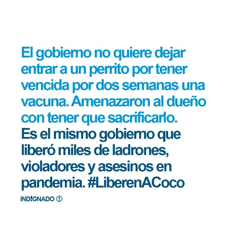 SusanaKanemann's tweet image. #LiberenACocoYa