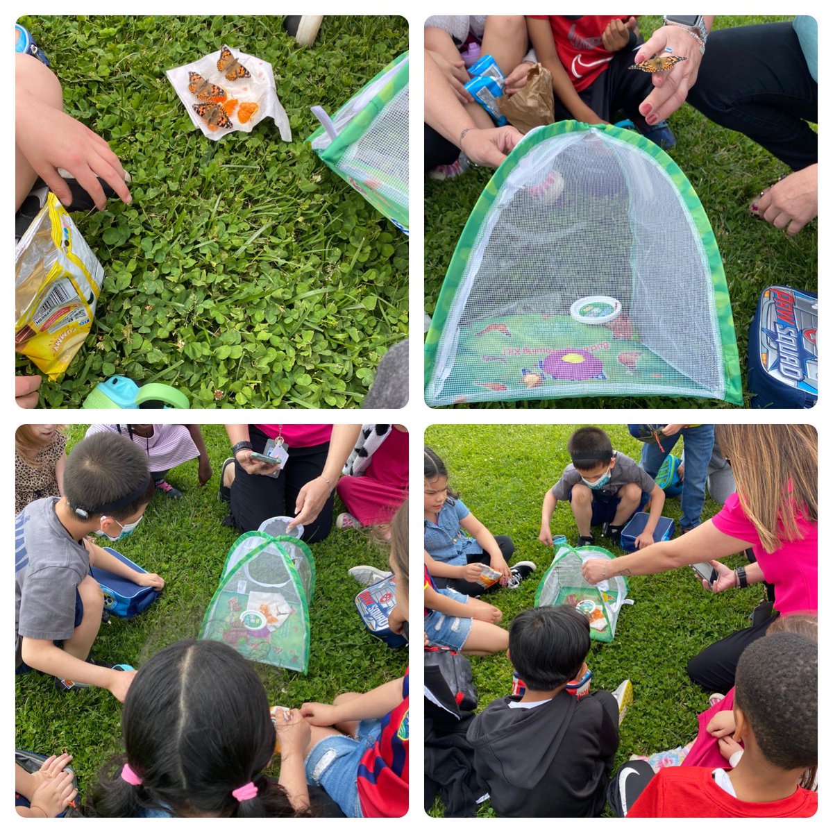 Lisa Mueller tweet media