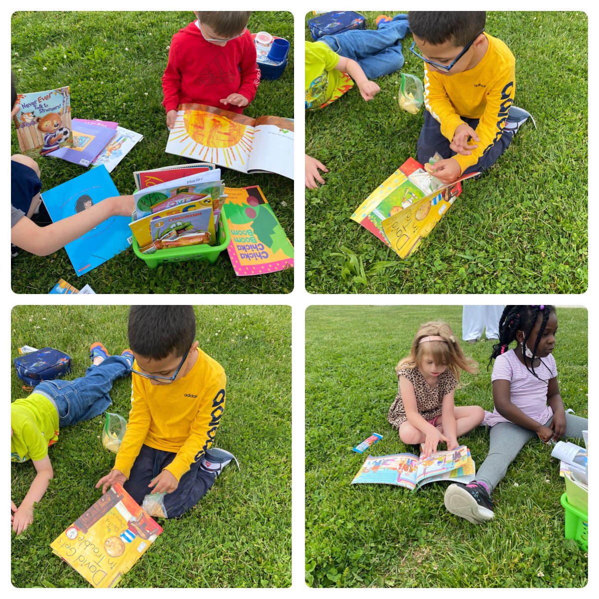 Lisa Mueller tweet media