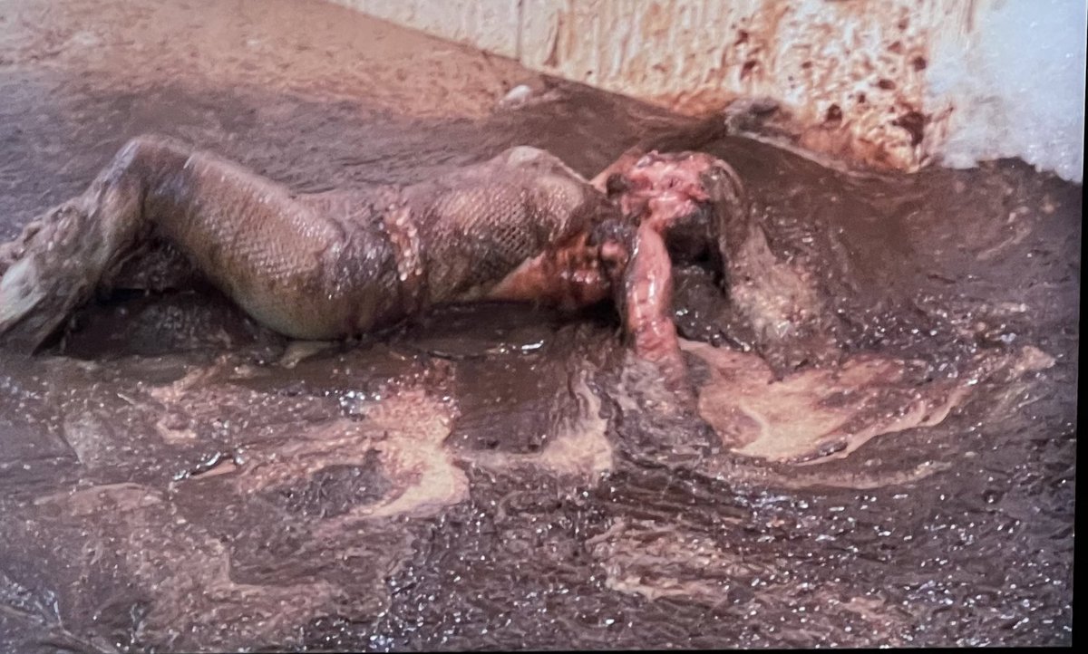 2Rainbowchaos's tweet image. #TimelineCleanse - because everyone needs a little more Ann Margret rolling in beans and chocolate on their timelines. I #flippedthescript on the timeline cleanse.