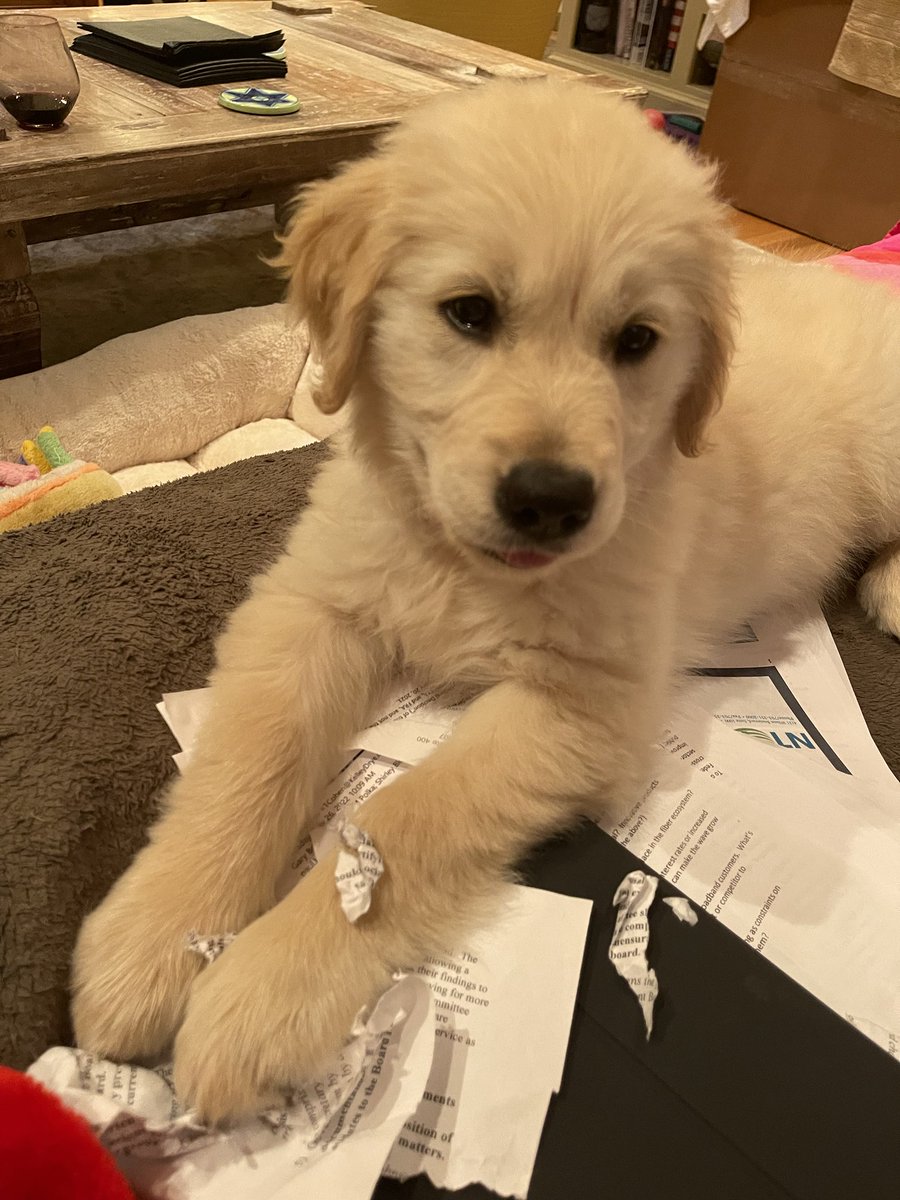 Shirley Bloomfield tweet media