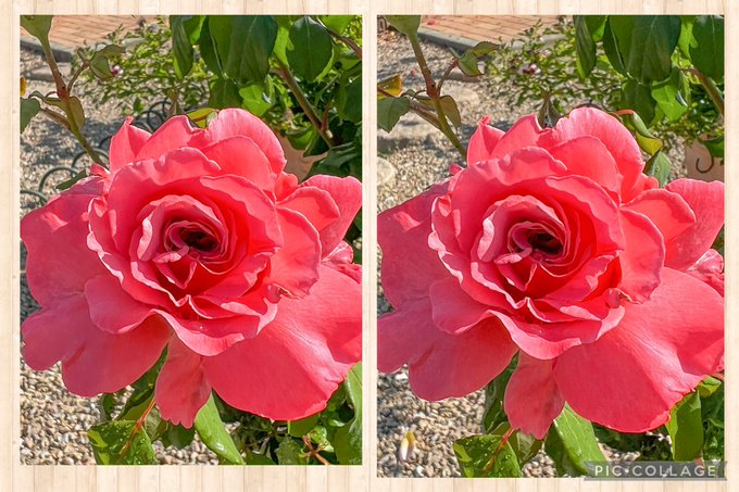 藤田重信さん の最近のツイート 9 Whotwi グラフィカルtwitter分析