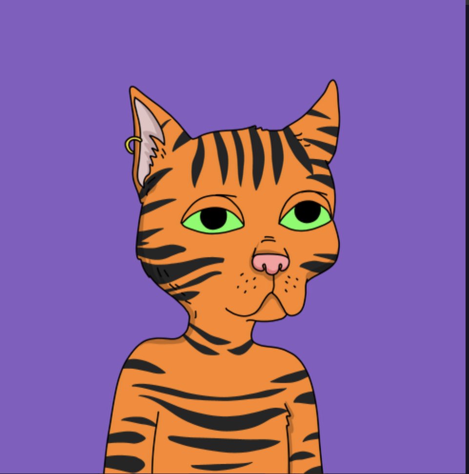 cornycoin69's tweet photo. Shout out to @BomfunkEth for the smooth trade and the 🔥 cat for my first @GutterCatGang OG cat 🐈 🙏 https://t.co/WK4WwGTRLR