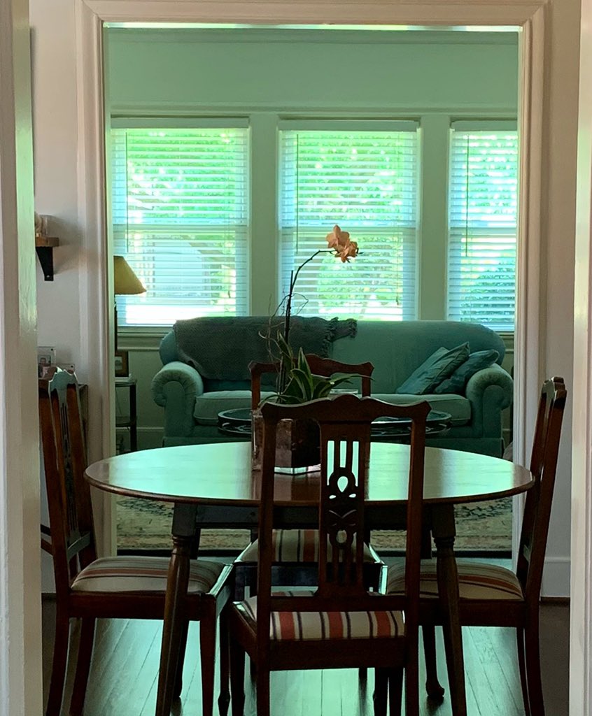 BeccaisaPenName's tweet image. The thoughtful architecture of 100yo homes. #mstreets #artsandcrafts #americanarchitecture