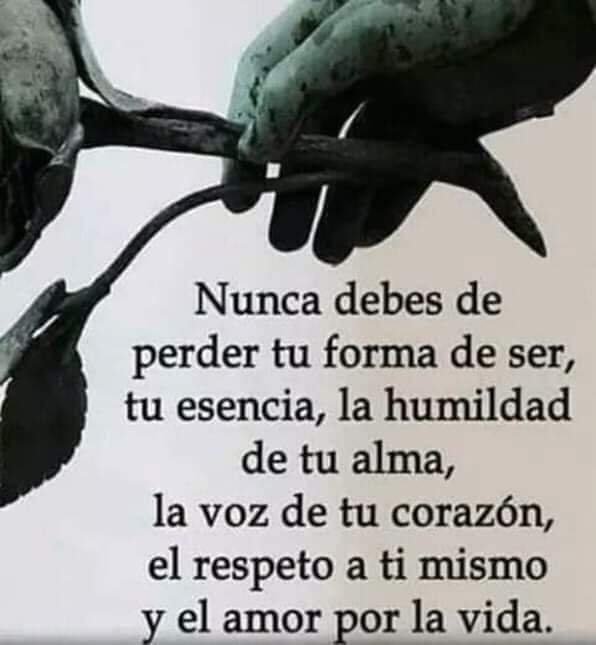 Sed humilde dé corazón buenas noches