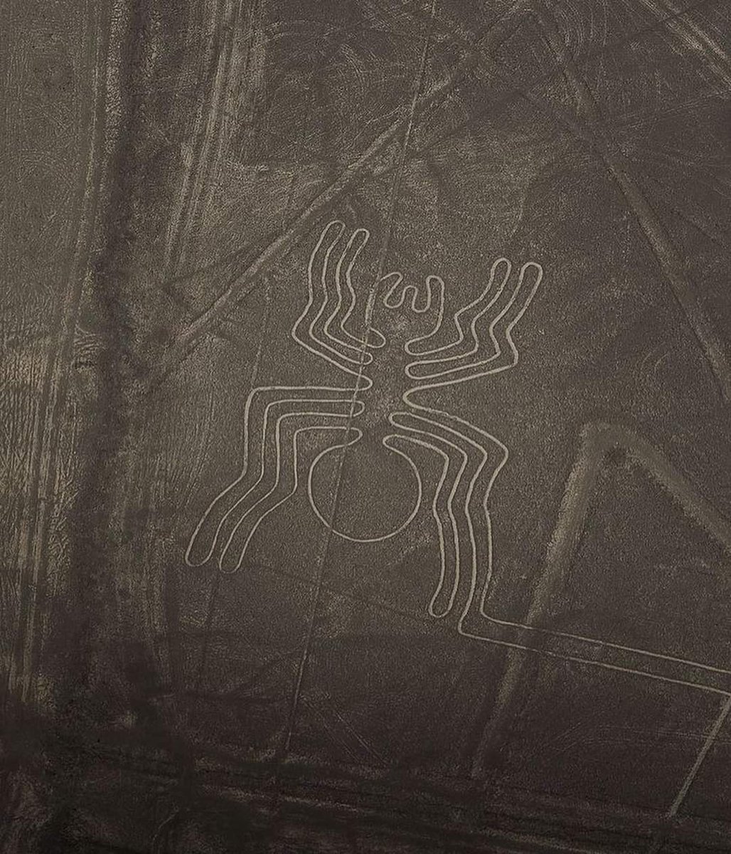 EDICIONESREGION's tweet photo. Líneas de Nasca.
Ica.
Perú Destinations. https://t.co/L6xqB5xySJ