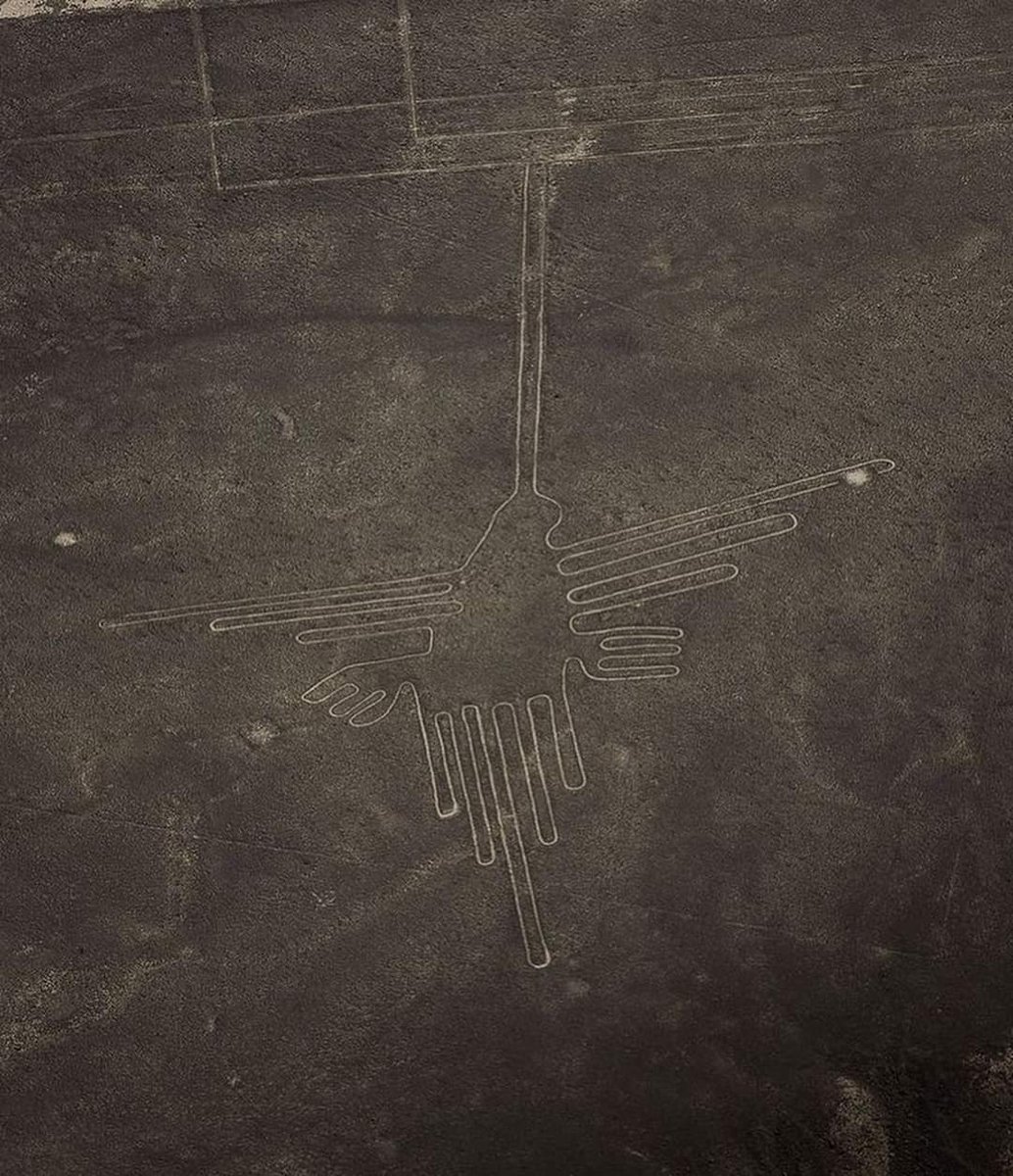 EDICIONESREGION's tweet photo. Líneas de Nasca.
Ica.
Perú Destinations. https://t.co/L6xqB5xySJ