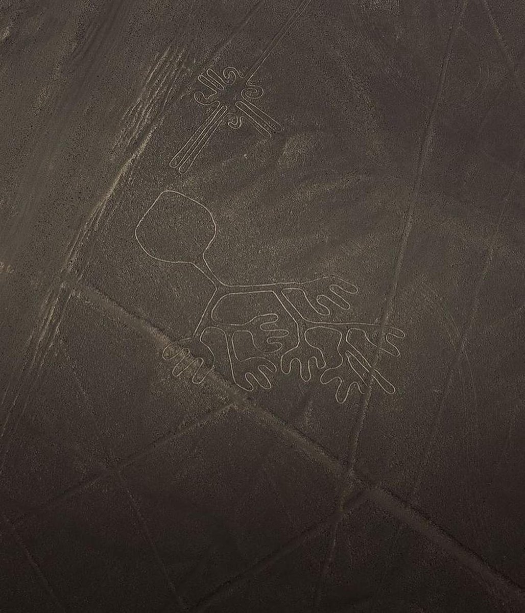 EDICIONESREGION's tweet photo. Líneas de Nasca.
Ica.
Perú Destinations. https://t.co/L6xqB5xySJ