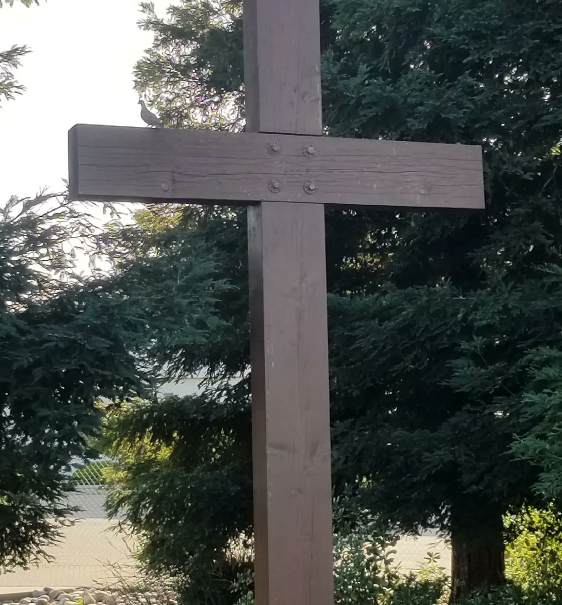 CoachBerk65's tweet photo. If you are a CHRISTIAN, a FOOTBALL COACH, and a TEACHER we have positions for you @BVCSLIONS. Email me your resume or DM me if you are interested. https://t.co/kxFLpS1ghf