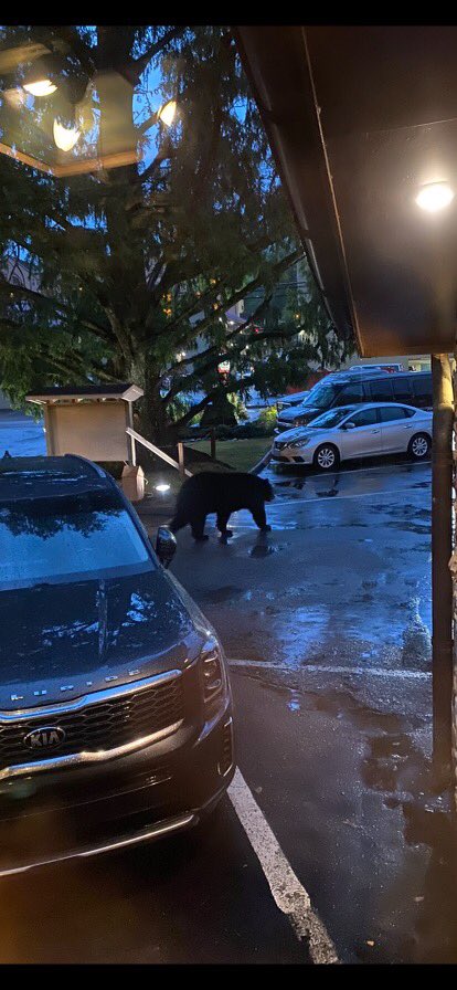 DarylChandler's tweet image. Went to the Peddlar and thought about bear but settled for steak! Happy Birthday Mason!