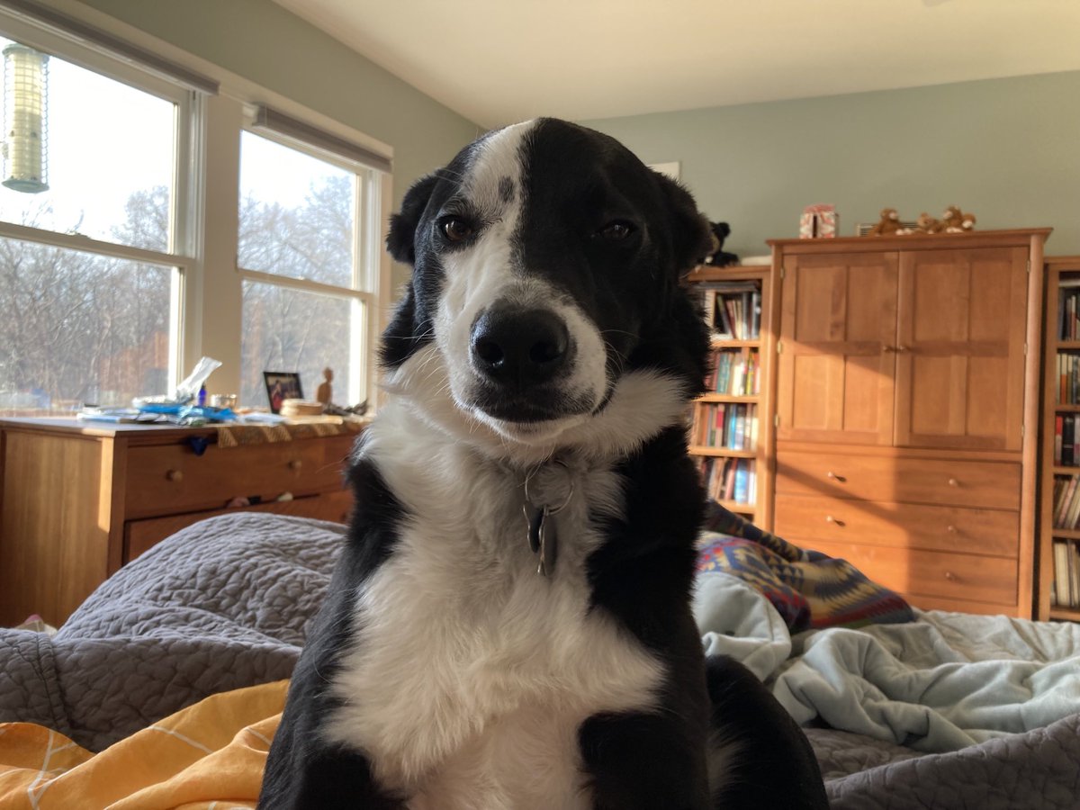 DjangoAtWork's tweet image. Get up, willya?