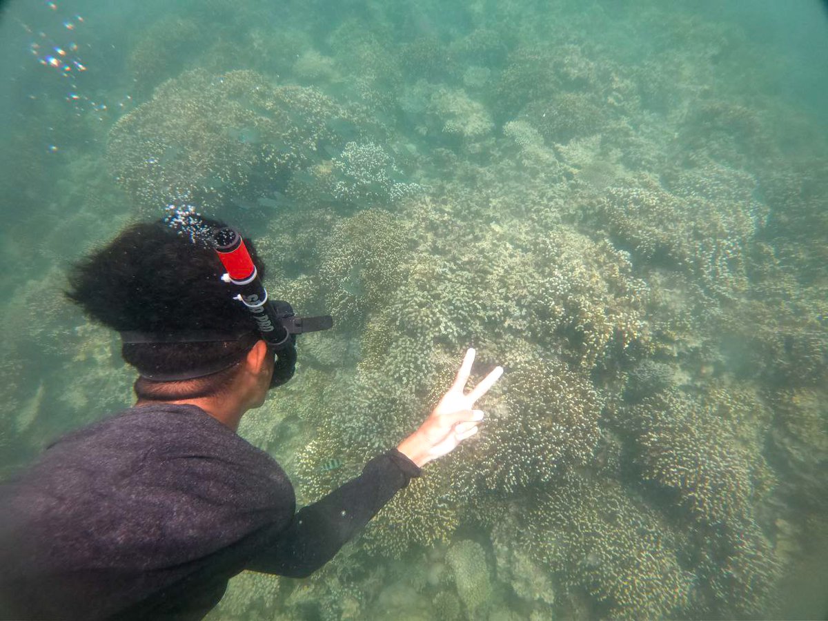 MsOteheiza's tweet photo. Morning Gais..

Weekend ni planning kemana je tuhh!!??
Jom planning dgn sis ke Pulau..
Pakej mampu milik sis bagi ualls tau..

Pat�� Dm or click link di bawah 👇
https://t.co/u2MnZLDal3 https://t.co/bRZrLM2Z3B https://t.co/gjzDSmjUIk