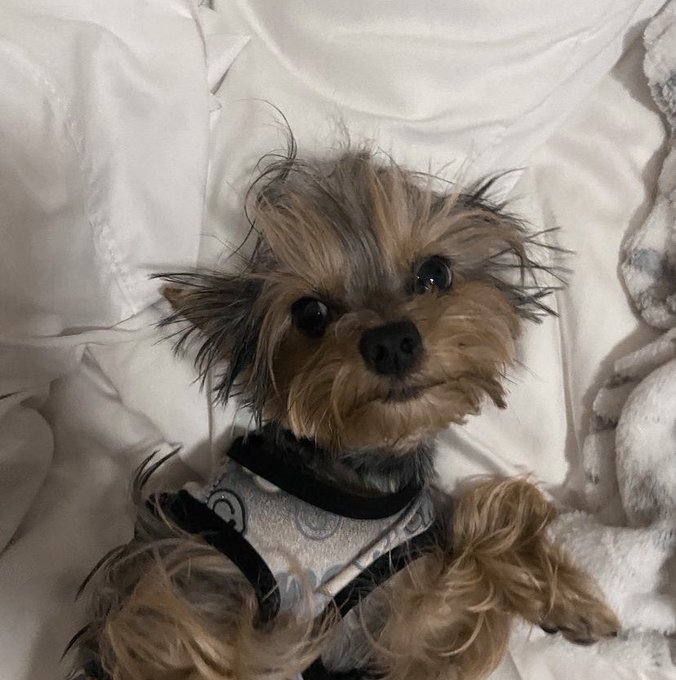 Watch ♩ིྀ's leaked NSFW photo on TwXstars