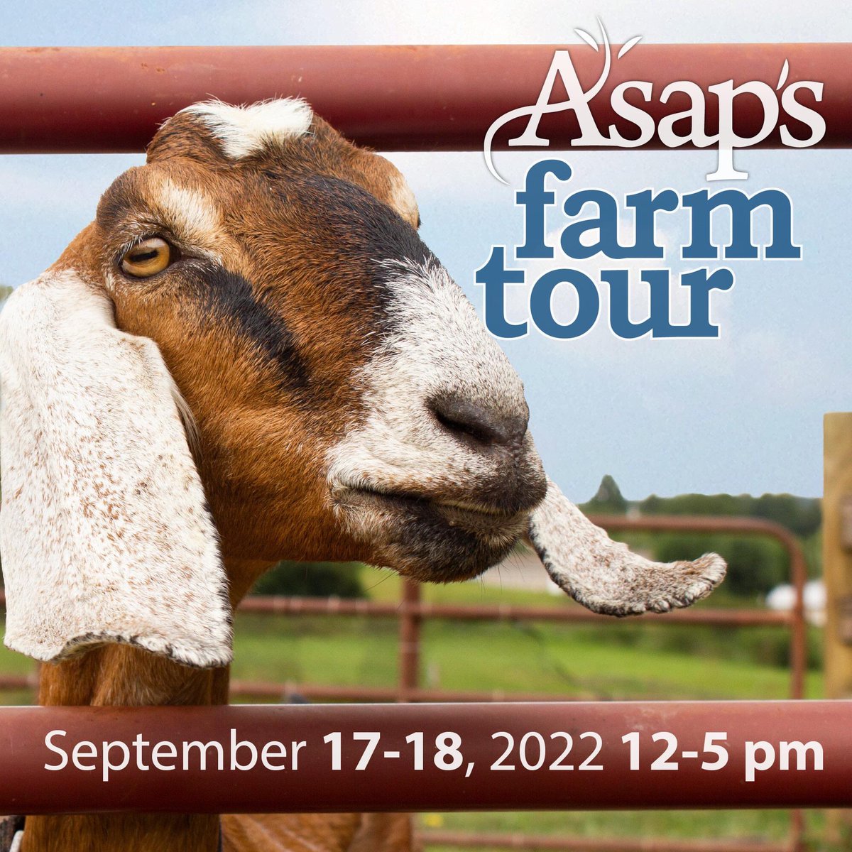 Passed on are sale for the 2022 Farm Tour! Join us Sept. 17-18 for tours, tastings, demonstrations, and so much more. Participating farms, all within an hour's drive of Asheville, will be announced this summer. Learn more and purchase your pass at asapconnections.org/find-local-foo…