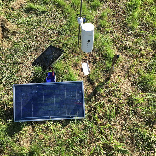 HardwareX (@hardwarex1) on Twitter photo .<a href="/SabattiniJulian/">Julian Sabattini</a> et al. published the "#AntVideoRecord: Autonomous system to capture the locomotor activity of leafcutter ants". #embedded #camera #animal #behavior #monitoring doi.org/10.1016/j.ohx.… .<a href="/SabattiniJulian/">Julian Sabattini</a> et al. published the "#AntVideoRecord: Autonomous system to capture the locomotor activity of leafcutter ants". #embedded #camera #animal #behavior #monitoring doi.org/10.1016/j.ohx.…