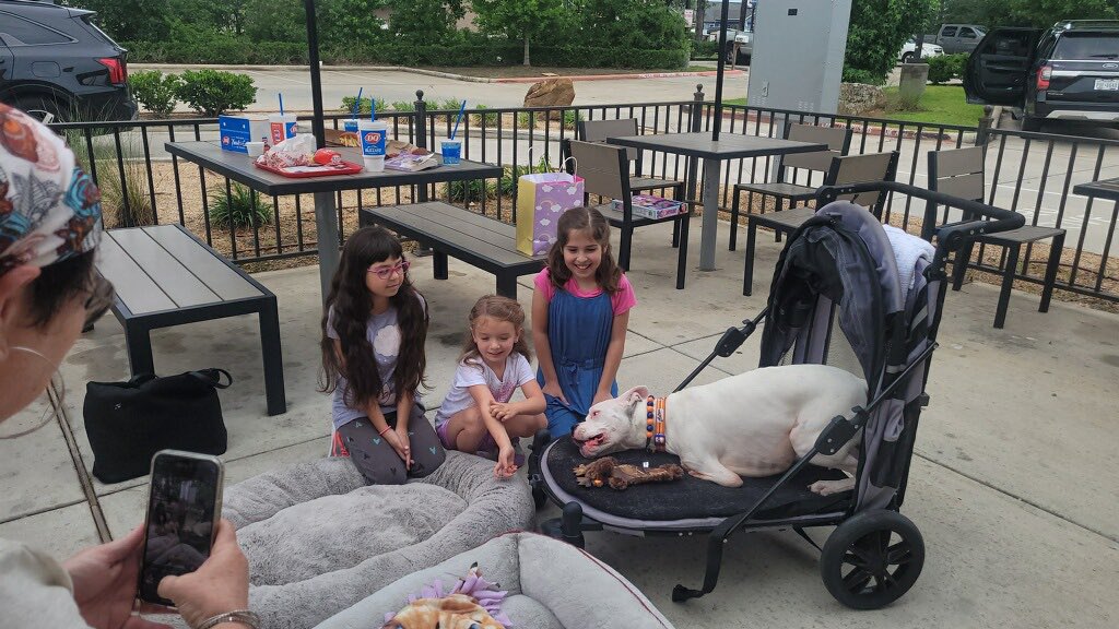 theACElibrary's tweet photo. This sweetie checked out the same book every week for 2+ months, Nubby, about a dog missing a few legs. When she finally had to turn it in at the end of the year, mom bought her her own copy AND set up a surprise visit for Gloria to meet Nubby! #thehumblelibrarian @HumbleISD_ACE https://t.co/GXYR5fH69N