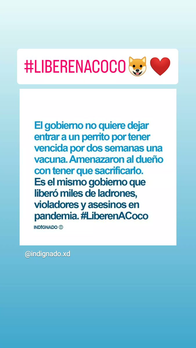 BenedettoMary's tweet image. #Coco #LiberenACocoYa #SENASA @SenasaAR