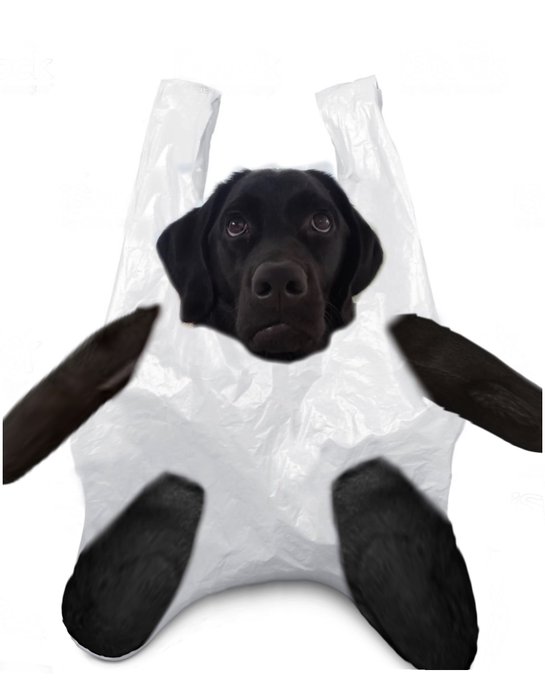 Watch ♩ིྀ's leaked NSFW photo on TwXstars