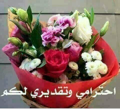 LaYaN AnWaR tweet media