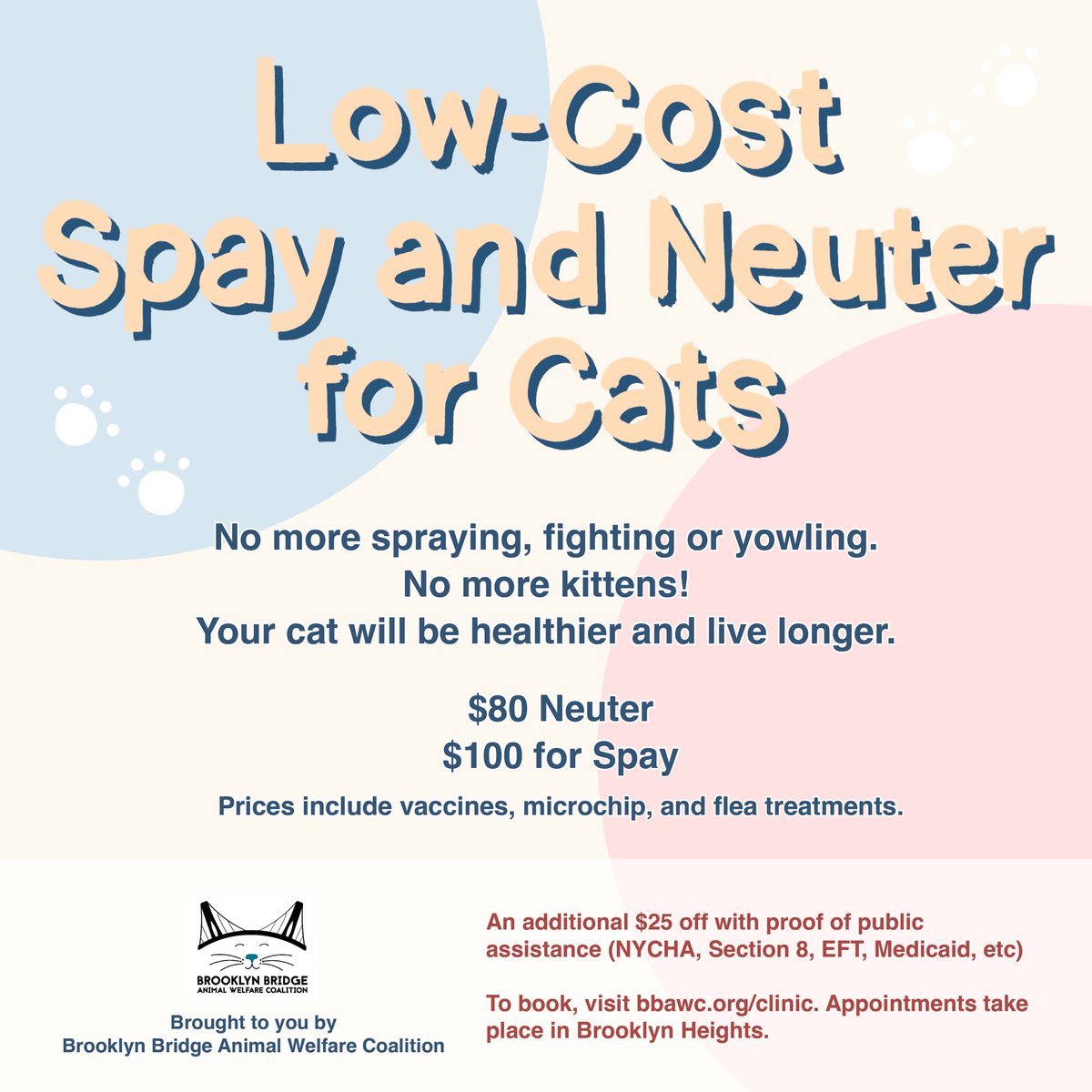 theanimalvoters's tweet image. . @BBAWC has a low cost spay neuter &amp;amp; medical clinic for cat parents! This is such an important resource. Check them out and spread the word.  bbawc.org/clinic/