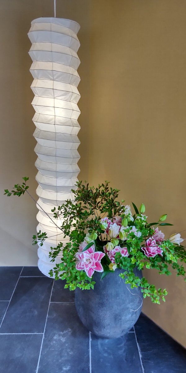 ehimeyamadaya's tweet image. 2018年4月。創業150周年となる節目の年に市内中心部で初めての直営店を松山ロープウェー商店街に出店いたしました。外装に竹、内装にタイルを用いた和モダンなデザインの店舗です。
松山城への道すがら、ぜひお立ち寄りください😊

愛媛県松山市大街道3丁目4-5
【OPEN】10:00〜18:00(1/1定休日)