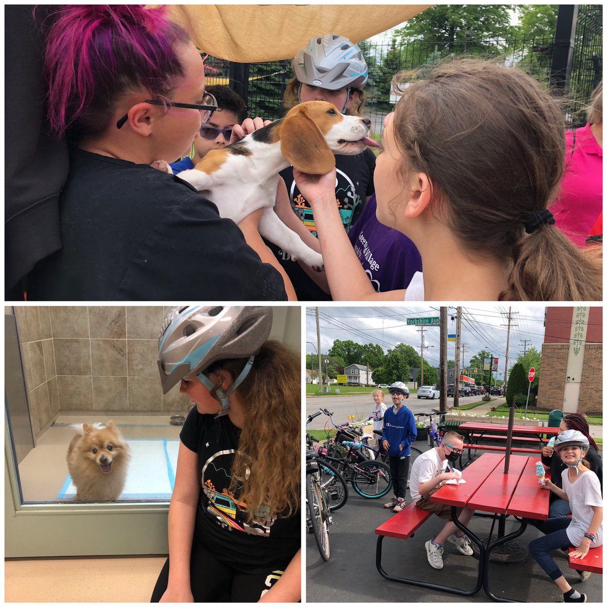 Shiloh’s Biking Club pedaled to Bartels and Busack Pet Hospital today for a field trip and on the way back, we enjoyed some ice cream at Zero Zest. <a href="/PCSDShiloh/">PCSD Shiloh</a> <a href="/ParmaSchools/">Parma City School District</a>