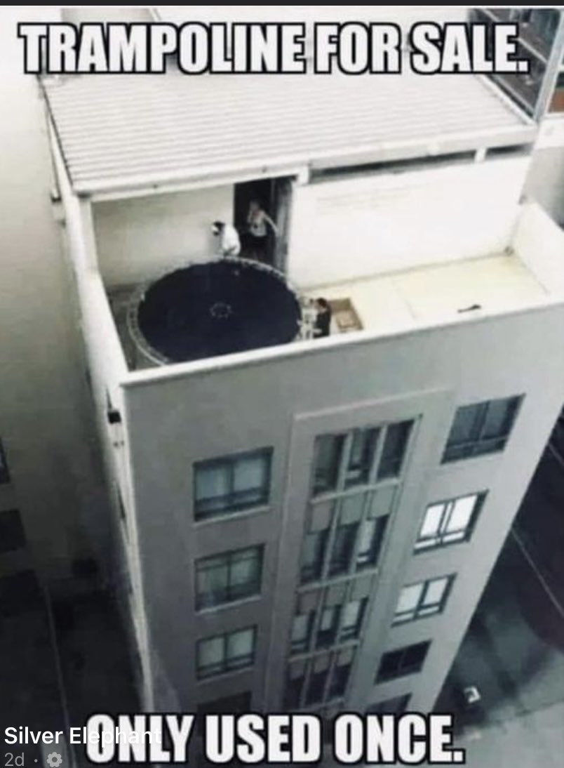 LaTrell Rabinowitz tweet media