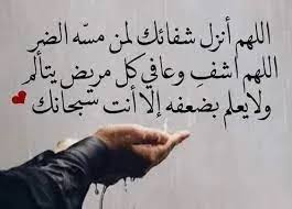 LaYaN AnWaR tweet media