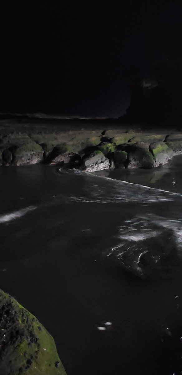 martinez_enoc's tweet photo. Toco playita en la noche. https://t.co/7J3a7hedi8