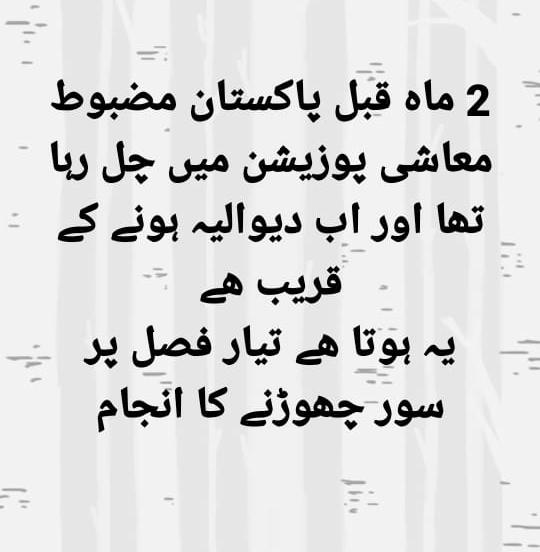 badar791oo's tweet photo. https://t.co/MrcaMhImuO