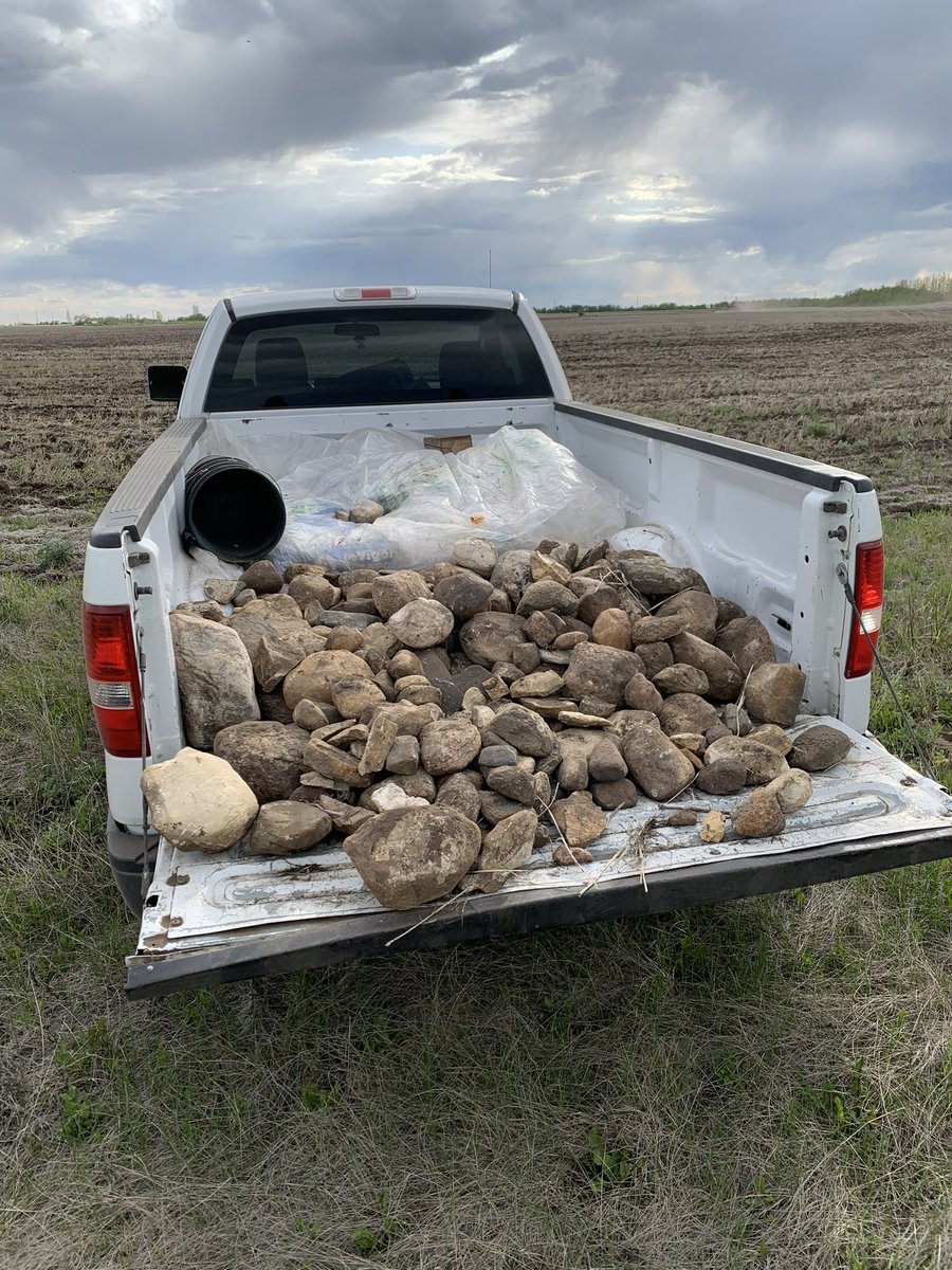 #Organic Rocks FOR SALE! Locally grown and hand picked. You can come pick your own #fresh rocks from our fields if you want! #saskrockpool