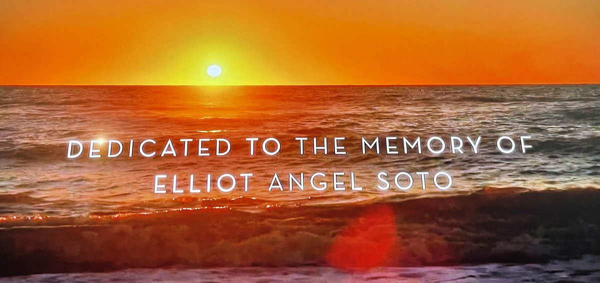 “tiny” #SiestaKey