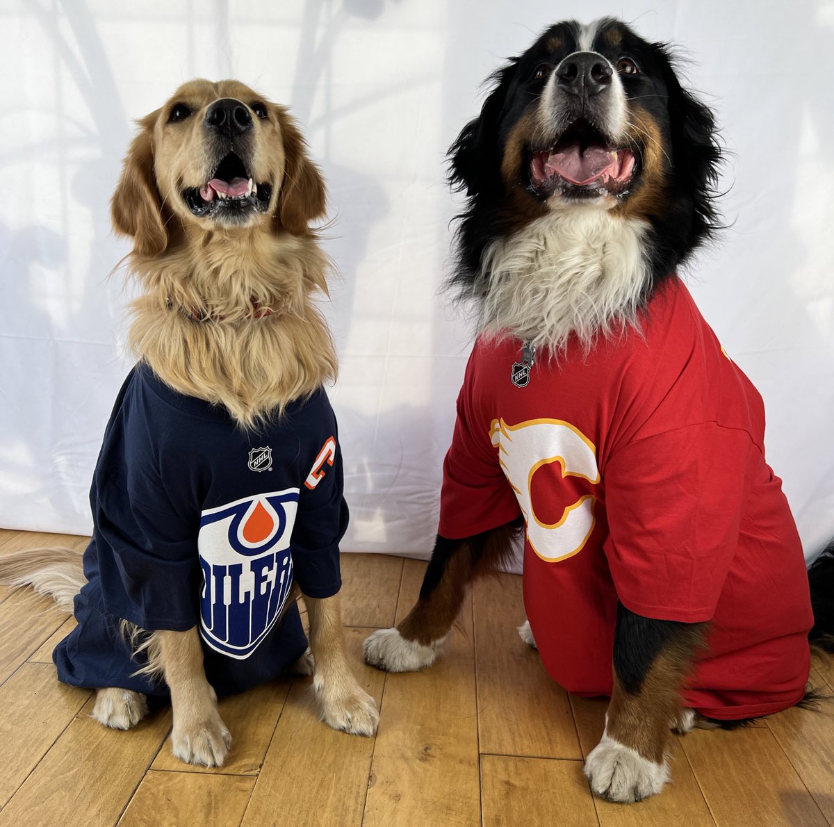 bunsenbernerbmd's tweet photo. It’s the battle of Alberta!
The Oilers have the Flames on the ropes but the Flames are LA LA LA UNDETERRED!! 
#Oilers #Flames #Hockey https://t.co/VoRtVGzsFt